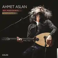 Ahmet Aslan – Giresun’un İçinde Albüm Kapağı