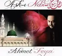 Ahmet Feyzi – Sen Gidince