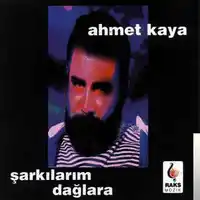 Ahmet Kaya – Metrisin Önünde Durdum Albüm Kapağı
