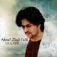 Ahmet Zeyd Tetik – Ey Sevgili Albüm Kapağı