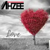 Ahzee – Go Gyal Albüm Kapağı