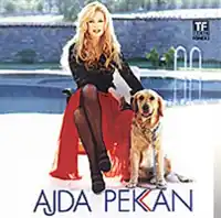 Ajda Pekkan – Dert Bende Derman Sende Albüm Kapağı