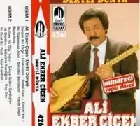 Ali Ekber Çiçek – Geç Geç