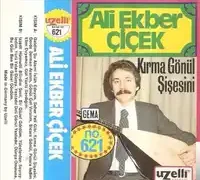 Ali Ekber Çiçek – Geldim Şu Alemi Islah Edeyim