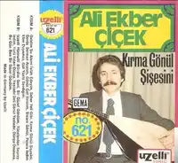 Ali Ekber Çiçek – Geldim Şu Alemi Islah Edeyim Albüm Kapağı