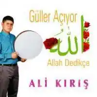 Ali Kırış – Sordum Sarı Çiçeğe Albüm Kapağı
