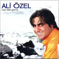 Ali Özel – Geç Kaldın Albüm Kapağı