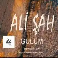 Ali Şah – Yüce Dağ Başında Üzüm Kol Atmış Albüm Kapağı