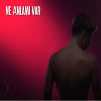 Anıl Emre Daldal – M. Albüm Kapağı