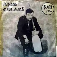 Aşık Gülabi – Sefil Baykuş Albüm Kapağı