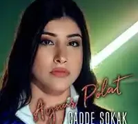 Aynur Polat – Cadde Sokak