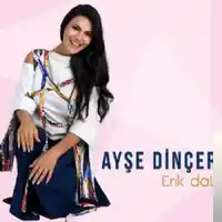 Ayşe Dinçer – Erik Dalı Albüm Kapağı