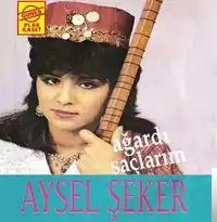Aysel Şeker – Yürüyorum Dikenlerin Üstüne Albüm Kapağı