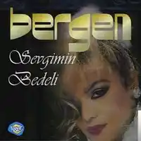 Bergen – Elimde Fotoğrafın (Erkan Kılıç Remix) Albüm Kapağı