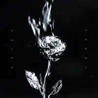 Cairo – ZORDU Albüm Kapağı