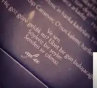 Ceylan Ertem – El Adamı