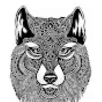 Dedublüman – Gamzedeyim Deva Bulmam ft Çağrı Çelik Albüm Kapağı