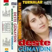 Deste Günaydın – Yıkılır Birgün Albüm Kapağı