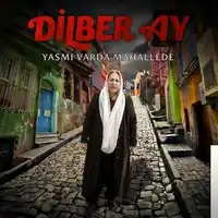 Dilberay – Bundan Sonra Albüm Kapağı