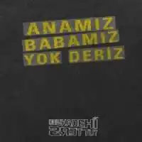 Dolu Kadehi Ters Tut – Aldattın Mı Albüm Kapağı