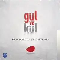 Dursun Ali Erzincanlı – 30 Kuş Albüm Kapağı
