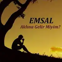 Emsal – Aklına Gelir Miyim Albüm Kapağı