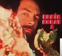 Erkin Koray – Şaşkın