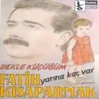 Fatih Kısaparmak – Keki Eyvah Albüm Kapağı