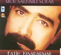 Fatih Kısaparmak – Mor Salkımlı Sokak