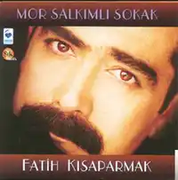 Fatih Kısaparmak – Mor Salkımlı Sokak Albüm Kapağı