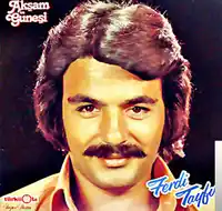 Ferdi Tayfur – Akşam Güneşi Albüm Kapağı