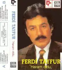 Ferdi Tayfur – Bilemezsin Sen Albüm Kapağı