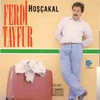 Ferdi Tayfur – Sevebilseydin Albüm Kapağı
