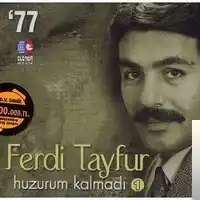 Ferdi Tayfur – Yüreğin Taş Olsa Da Albüm Kapağı