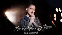 Filiz Karadeniz – Ben Ne Hallere Düştüm Albüm Kapağı