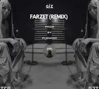 Giz – Farzet