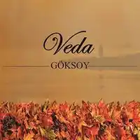 Göksoy – Hüseyni Keman Taksimi Albüm Kapağı