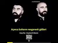 Grup Roj – Aşıqeteme Le Şırinamıne Aşığeteme Albüm Kapağı