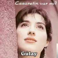 Gülay – Cesaretin Var mı Aşka Albüm Kapağı