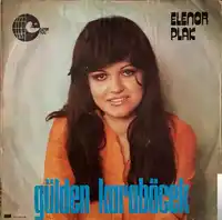 Gülden Karaböcek – Nem Kaldı Albüm Kapağı