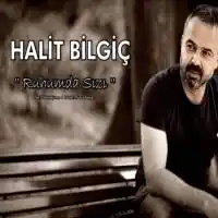Halit Bilgiç – Ne Vardı da Gittin Albüm Kapağı