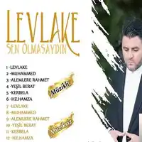 Hasan Dursun – Nefsim Sen Ölmezmisin Albüm Kapağı