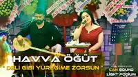 Havva Öğüt – Deli gibi yüreğime zorsun Albüm Kapağı