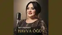 Havva Öğüt – Sen Taşmısın