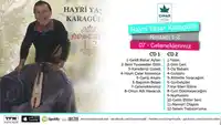 Hayri Yaşar Karagülle – Vur Elleri Ellere Albüm Kapağı