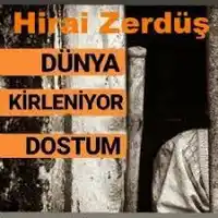 HiraiZerdüş – İçime Sevda Kaçar Albüm Kapağı