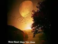 Hozan Hamit – Evina Dilemin Çu Albüm Kapağı