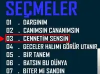 Hüseyin Altın – Niye Doğdum Albüm Kapağı