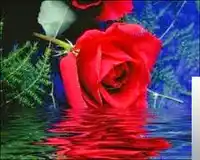 İlahiler – Ay Dünyaye