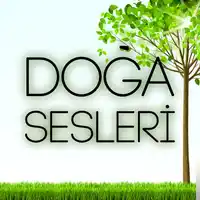 Karışık Sesler – Doğal Kuş Sesi Albüm Kapağı